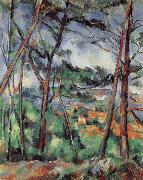 Paul Cezanne Lanscape near Aix-the Plain of the arc river Germany oil painting artist